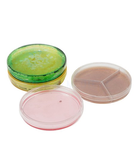 Plastic Coloured Petri Dishes Priced Individually 